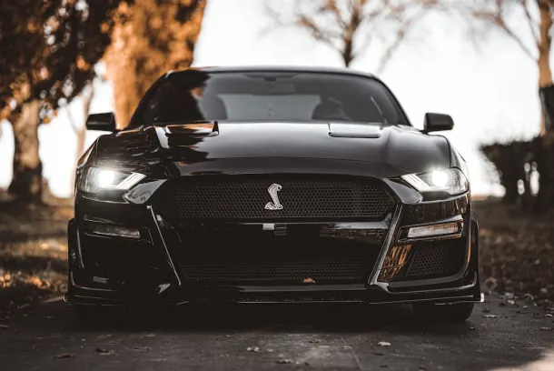 럭클랜드 카지노 안드로이드/iOS 앱